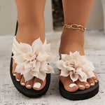https://cdn.shopify.com/s/files/1/1037/6196/9489/files/051cecda-b684-40c2-81ea-b6e05df5c3da.jpg?v=1780780588