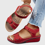 https://cdn.shopify.com/s/files/1/1057/5383/7908/files/12fae56a3a32455d8a76d49b74bee62f.jpg?v=1785187745