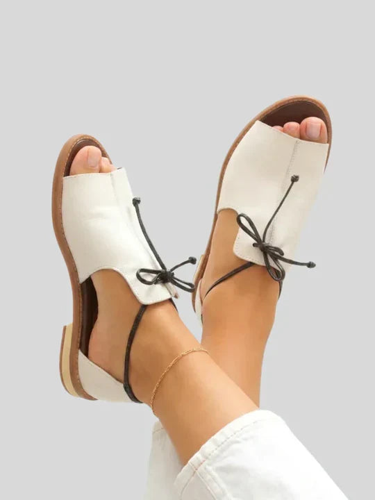 https://cdn.shopify.com/s/files/1/1037/6196/9489/files/13_8ee10a7a-7ef7-45c2-af98-5d3fb13ffe44.webp?v=1785051820