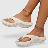 https://cdn.shopify.com/s/files/1/1057/5383/7908/files/14-12_720x-Photoroom_7cdab070-4e26-485f-a540-434afc583908.jpg?v=1785187347