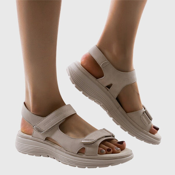 https://cdn.shopify.com/s/files/1/1057/5383/7908/files/14b3072f475346e5b095c5662056095d.jpg?v=1785187785