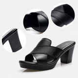 https://cdn.shopify.com/s/files/1/1037/6196/9489/files/1686888846215.jpg?v=1782674078