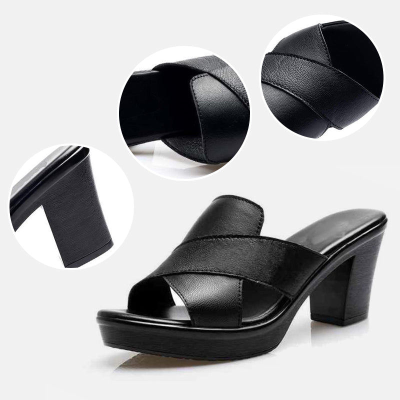 https://cdn.shopify.com/s/files/1/1037/6196/9489/files/1686888846215.jpg?v=1782674078