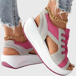 https://cdn.shopify.com/s/files/1/1057/5383/7908/files/16ba1f7de5a041608341eafcf81941ca.jpg?v=1785187338