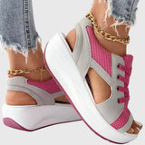 https://cdn.shopify.com/s/files/1/1057/5383/7908/files/16ba1f7de5a041608341eafcf81941ca.jpg?v=1785187338