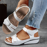 https://cdn.shopify.com/s/files/1/1037/6196/9489/files/1_47022542-80e2-4709-a5ef-5cc1da0afd1f.jpg?v=1780780586