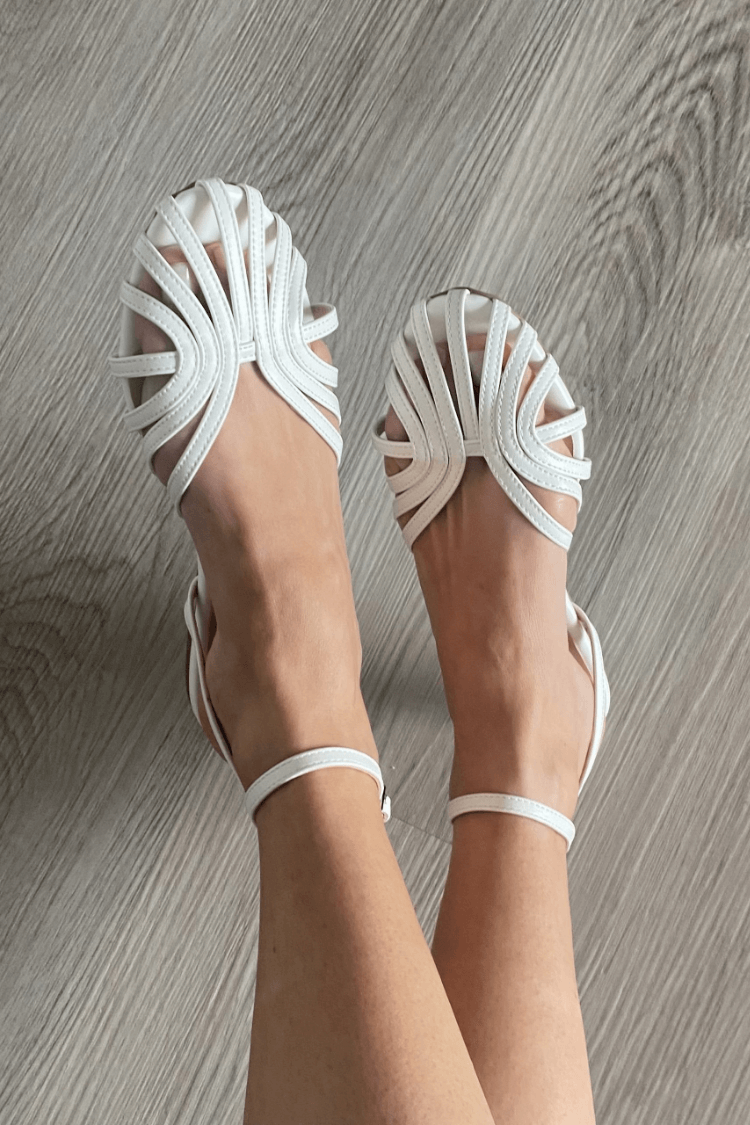 https://cdn.shopify.com/s/files/1/1037/6196/9489/files/1_518495ff-73ed-4ca3-a710-2841d960001d.png?v=1783459053
