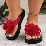 https://cdn.shopify.com/s/files/1/1037/6196/9489/files/1b5ce416-494d-460c-9e23-d58d91bba49a.jpg?v=1780780588