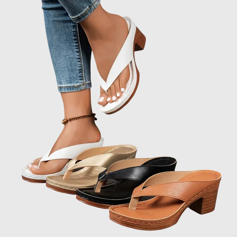 https://cdn.shopify.com/s/files/1/1057/5383/7908/files/205f665fb9024e299ca45df178bf369b_c75b9503-f24a-47ba-925e-8c907f1e9636.jpg?v=1785187336