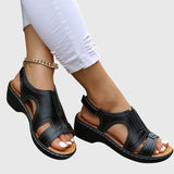https://cdn.shopify.com/s/files/1/1057/5383/7908/files/254ca4c7194d460591b4ea0d097d63bd.jpg?v=1785187334