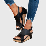 https://cdn.shopify.com/s/files/1/1057/5383/7908/files/2909c82e9c0c4031a1e66605a9bcac55.jpg?v=1785187798