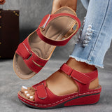 https://cdn.shopify.com/s/files/1/1037/6196/9489/files/2_3b2f21c2-5a48-4da4-b83b-f2a8469cea03.jpg?v=1780780586