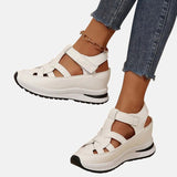 https://cdn.shopify.com/s/files/1/1037/6196/9489/files/2_711c434c-411a-42b0-86e0-70a075421b5f.jpg?v=1781383417