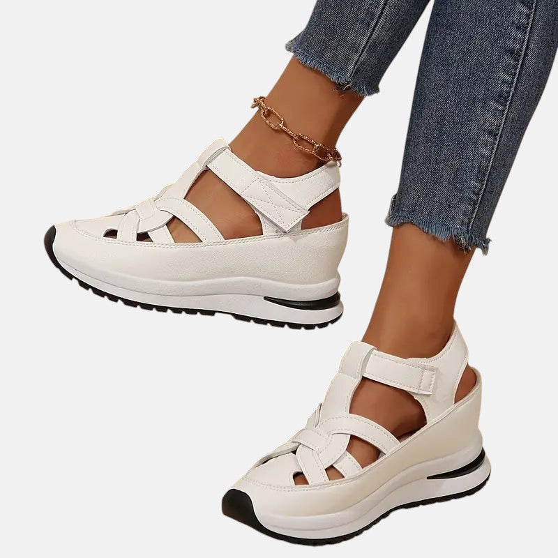 https://cdn.shopify.com/s/files/1/1037/6196/9489/files/2_711c434c-411a-42b0-86e0-70a075421b5f.jpg?v=1781383417