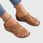 https://cdn.shopify.com/s/files/1/1057/5383/7908/files/2d55f4c634314d43bb6d2df611edadce.jpg?v=1785187765