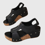https://cdn.shopify.com/s/files/1/1037/6196/9489/files/2db92a7772e842159bb68ff59a32c6a3_2ae83d20-d50d-435b-9013-5db5d477fdbc.jpg?v=1781383404