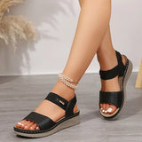 https://cdn.shopify.com/s/files/1/1037/6196/9489/files/3480997b-b56d-4960-abd4-e0608ff70e60.webp?v=1780780599