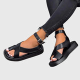 https://cdn.shopify.com/s/files/1/1057/5383/7908/files/3519c796cb5d4c8f84549884a6d2e947.jpg?v=1785187786