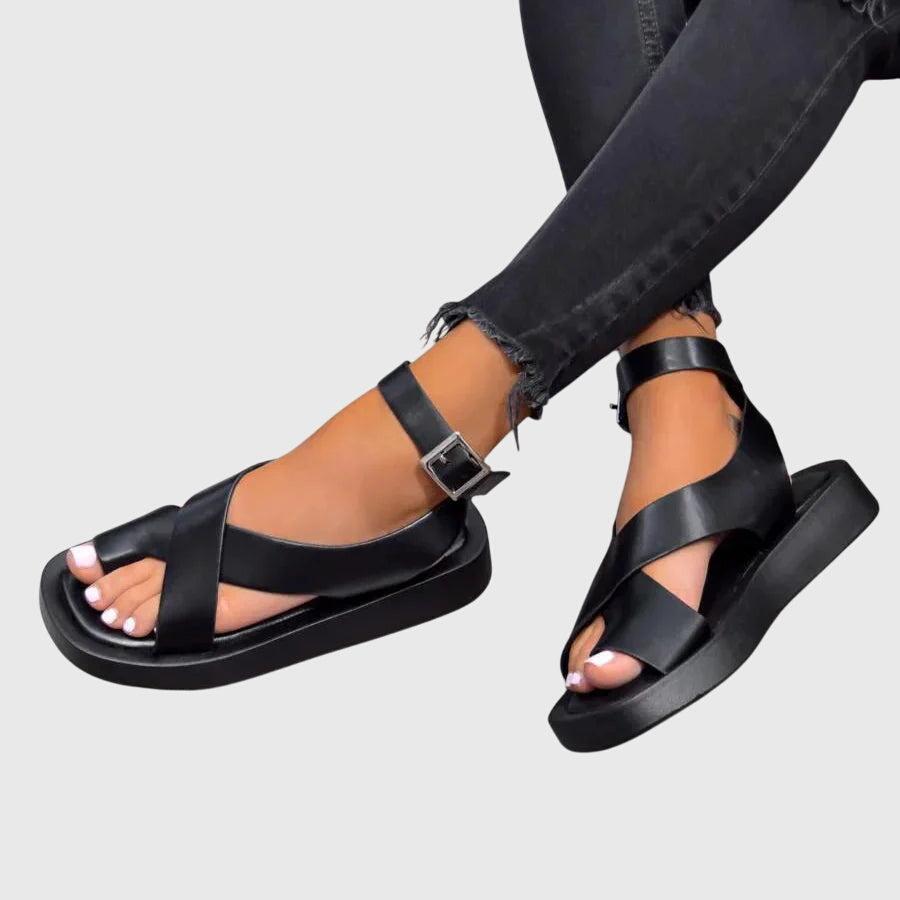 https://cdn.shopify.com/s/files/1/1057/5383/7908/files/3519c796cb5d4c8f84549884a6d2e947.jpg?v=1785187786