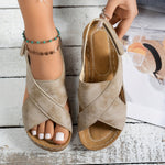 https://cdn.shopify.com/s/files/1/1037/6196/9489/files/374b4b15-c53c-46d5-ac78-25d5801fbcdf_8c3b6c42-7933-43ff-9a55-cc961c706e42.jpg?v=1781383406