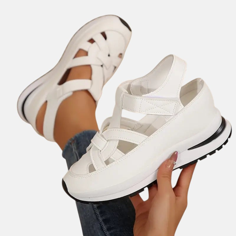 https://cdn.shopify.com/s/files/1/1037/6196/9489/files/3_3b7fc031-293e-4e2e-96fa-c94a51211360.jpg?v=1781383419