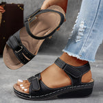 https://cdn.shopify.com/s/files/1/1037/6196/9489/files/3_e8f015e6-a263-4ad9-b345-fb53b510b56d.jpg?v=1780780586
