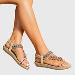 https://cdn.shopify.com/s/files/1/1057/5383/7908/files/3c38e721caca40938889635d775b03ed_71dafb24-8510-43c0-9c9d-95c0d711303b.jpg?v=1785187359