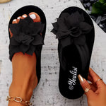 https://cdn.shopify.com/s/files/1/1037/6196/9489/files/3eefe242-0eda-4b9d-b948-b8b5d810790c_642ed04c-64ec-4c9b-a5ff-f3b1f945c7f1.jpg?v=1781383403