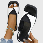 https://cdn.shopify.com/s/files/1/1057/5383/7908/files/4242b7755efd4504bd90137412dae610_80c8593a-ffb6-4b63-a13b-80bac81e348e.jpg?v=1785187381