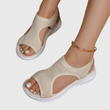 https://cdn.shopify.com/s/files/1/1057/5383/7908/files/447aa66f83cf40cbb7ab27547ed8b283_02f395d3-0227-46b0-842e-a12244f31d98.jpg?v=1785187356
