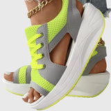 https://cdn.shopify.com/s/files/1/1057/5383/7908/files/45fa2abe7aea45589bd379dc0040b71e.jpg?v=1785187338
