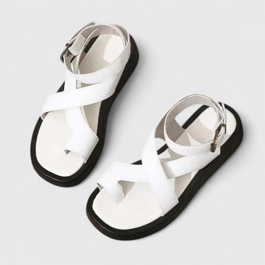 https://cdn.shopify.com/s/files/1/1037/6196/9489/files/45ff7377f376443560d0f17fb47859dd_720x-Photoroom.jpg?v=1780780591