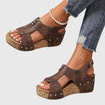 https://cdn.shopify.com/s/files/1/1037/6196/9489/files/50b4b38c6cb24a1a8b1171add8281311_8fec063b-2a38-4946-92e7-beeb419e4192.jpg?v=1781383404