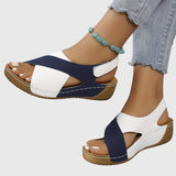 https://cdn.shopify.com/s/files/1/1037/6196/9489/files/521a5903da7749ecbe44cefaf4a42a32_74e8ee1a-c726-4cbe-ac75-30e6ed8a9ae9.jpg?v=1781383406