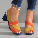 https://cdn.shopify.com/s/files/1/1037/6196/9489/files/538f8cd5-7a38-4331-ba10-dd1b92c442e3.jpg?v=1784464216