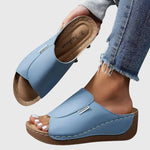 https://cdn.shopify.com/s/files/1/1057/5383/7908/files/56efbef032d24beeb5088dabb3b9eca9.jpg?v=1785187384