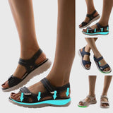 https://cdn.shopify.com/s/files/1/1057/5383/7908/files/59d9db7a28b043ebae735de3978d9e91_ea7da7ad-8286-4135-9ba2-a7d419cf7f31.jpg?v=1785187347