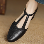 https://cdn.shopify.com/s/files/1/1037/6196/9489/files/5_699a076a-28e6-4c26-972d-b8d58372a4f4.png?v=1782026314