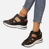 https://cdn.shopify.com/s/files/1/1037/6196/9489/files/5_be0ab120-9504-46b3-8c99-02048e82b529.jpg?v=1781383417