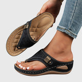 https://cdn.shopify.com/s/files/1/1057/5383/7908/files/5bd1e094db974df39be28c8d529046f3.jpg?v=1785187794