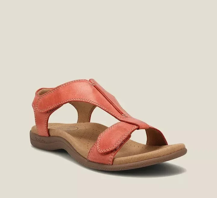 https://cdn.shopify.com/s/files/1/1037/6196/9489/files/5e6e0db5eec7c7aea34a618940e2c3ce_750x_bdfac9ab-b7c6-4efd-95fc-3278f0562c9d.webp?v=1783003659