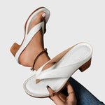 https://cdn.shopify.com/s/files/1/1057/5383/7908/files/5eb9eb8be5bb44468c6391f719b5b6de_8e37712c-5bb9-4836-a7b0-821ff3e75af1.jpg?v=1785187336