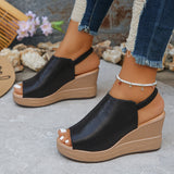 https://cdn.shopify.com/s/files/1/1037/6196/9489/files/66fc0a43-9ec7-402b-a7dc-6c06a3750e69.jpg?v=1784193334