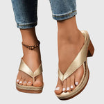 https://cdn.shopify.com/s/files/1/1057/5383/7908/files/675eb2911701406aa1c6bd33ef3161c7_328660ef-e361-41ab-bbd1-6f9986c48504.jpg?v=1785187337
