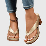https://cdn.shopify.com/s/files/1/1057/5383/7908/files/675eb2911701406aa1c6bd33ef3161c7_328660ef-e361-41ab-bbd1-6f9986c48504.jpg?v=1785187337