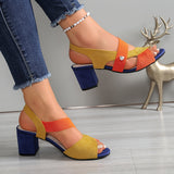 https://cdn.shopify.com/s/files/1/1037/6196/9489/files/6800cebc-717d-4aa0-96dc-8372600a0367.jpg?v=1784464216