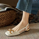 https://cdn.shopify.com/s/files/1/1057/5383/7908/files/692183137d57b83e3d9fa4dd5860c016_31e1fc40-3466-44ba-bcc5-ff257932301f.webp?v=1785187756