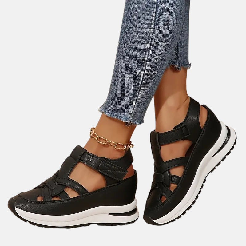 https://cdn.shopify.com/s/files/1/1037/6196/9489/files/6_5ad048e0-8df5-4a62-b7ff-7fdda173e656.jpg?v=1781383418