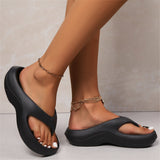 https://cdn.shopify.com/s/files/1/1037/6196/9489/files/734fa599-75d7-45d5-9ee2-71e0efb54d1d_b39c7f01-4f4f-4582-8c9b-65a5b74d3b52.jpg?v=1781383405