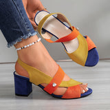 https://cdn.shopify.com/s/files/1/1037/6196/9489/files/753d4d34-ae28-404b-b566-a61c3933a471.jpg?v=1784464216